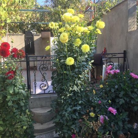 Apartament Sofia ティビリシ エクステリア 写真