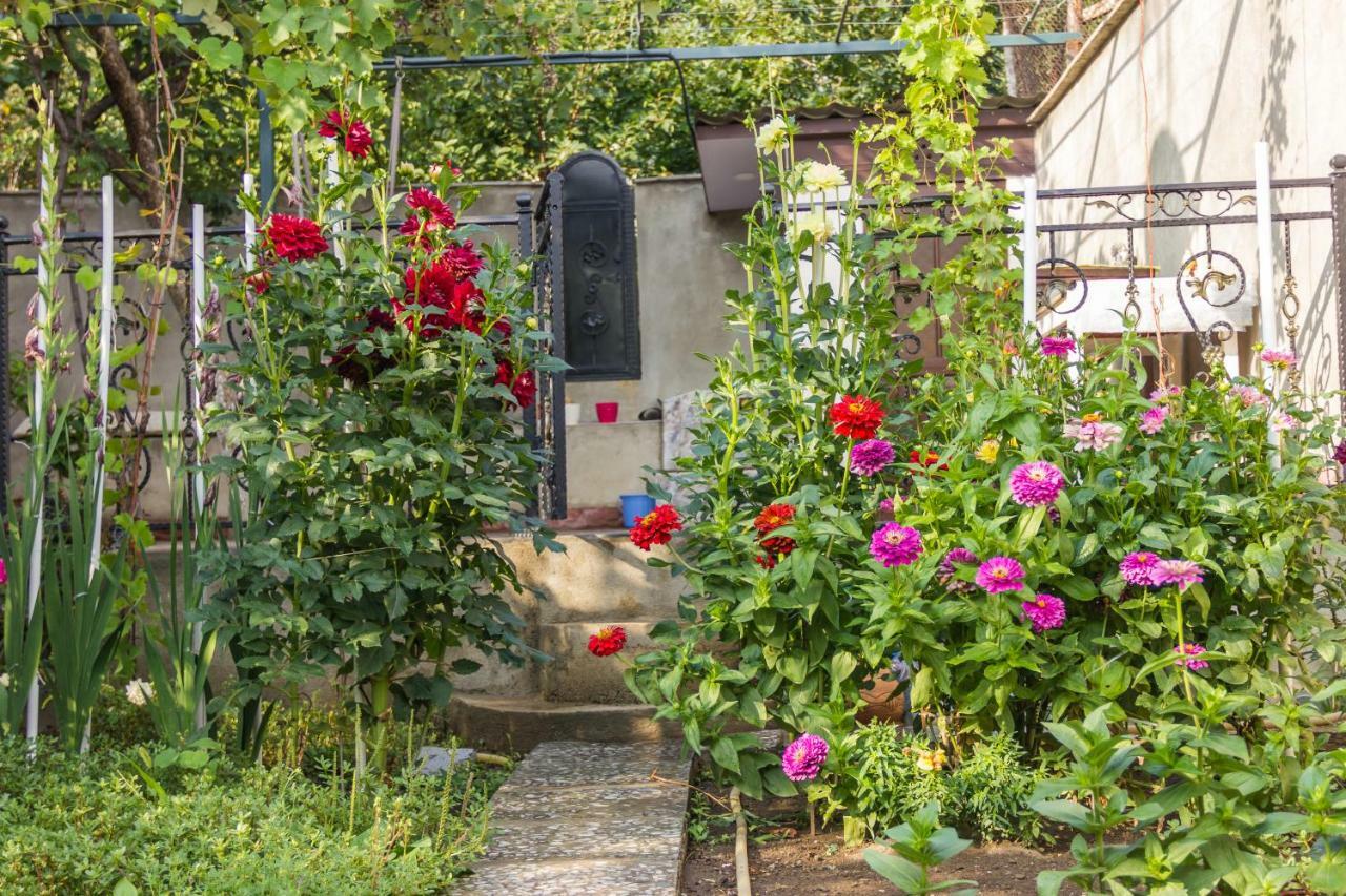 Apartament Sofia ティビリシ エクステリア 写真