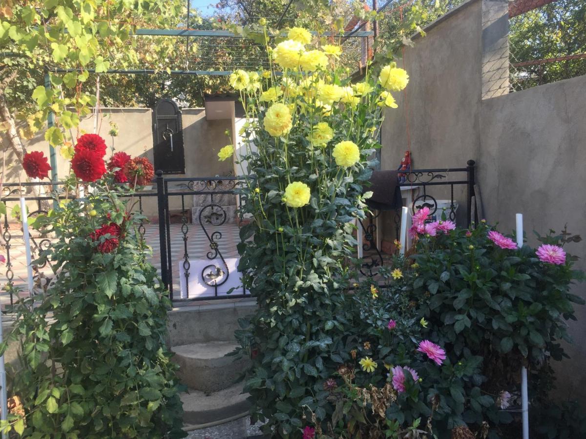 Apartament Sofia ティビリシ エクステリア 写真